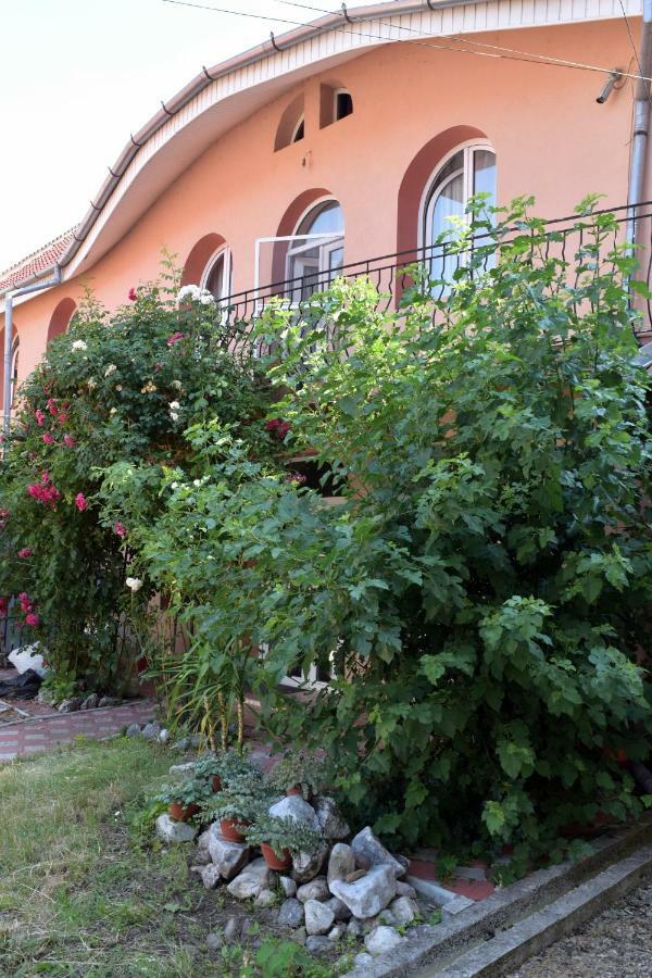 Valiapart Oradea Ngoại thất bức ảnh